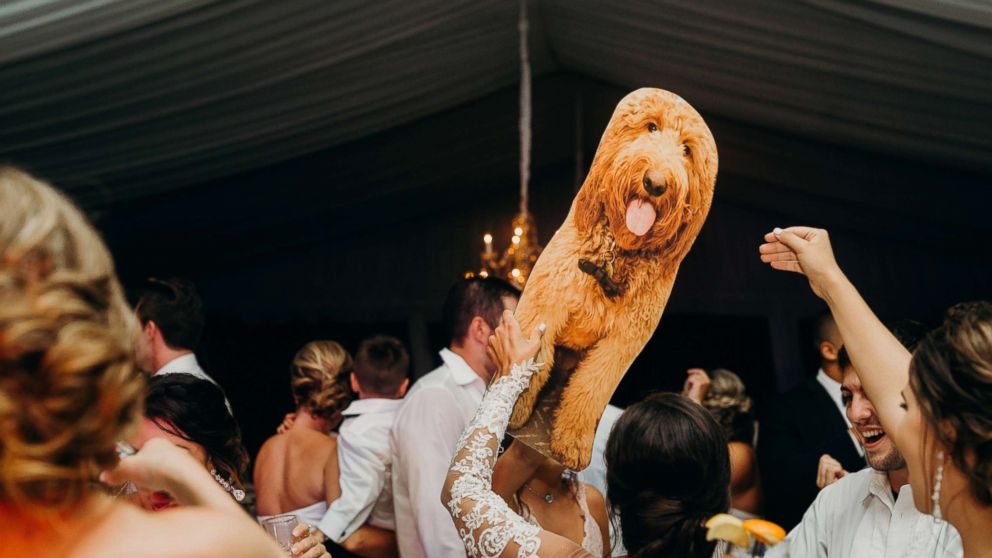 how to incorporate your pet on your wedding day